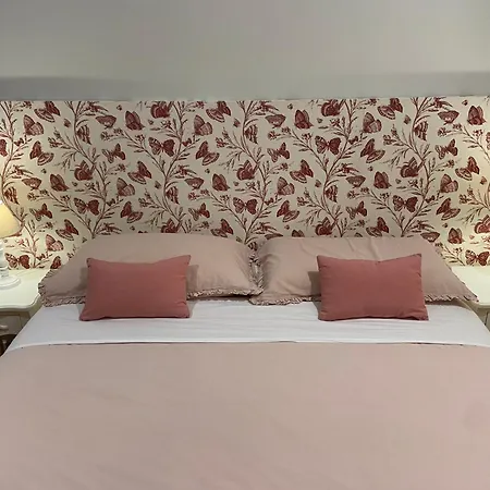 Bed and Breakfast Victoria House Πίζα