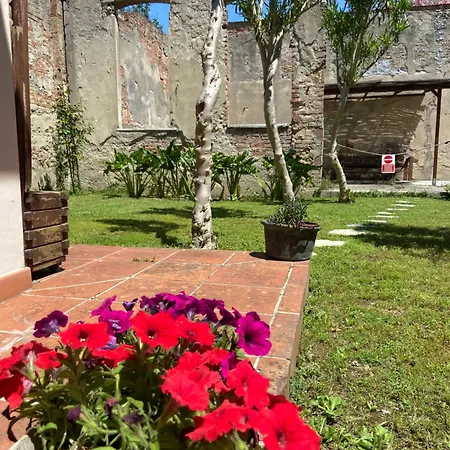 Victoria House Bed and Breakfast Πίζα